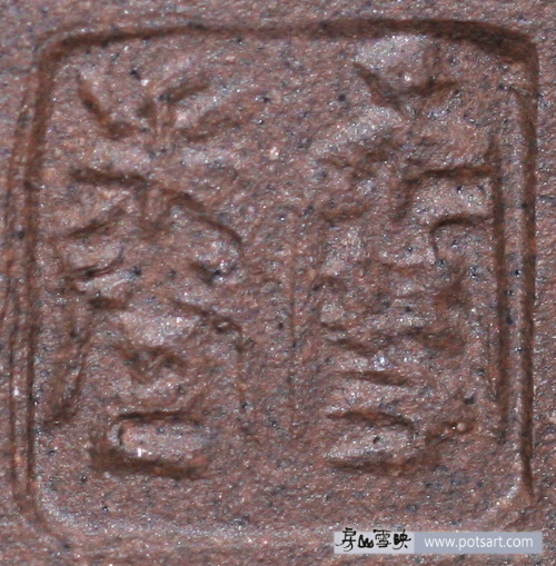 徐雪娟