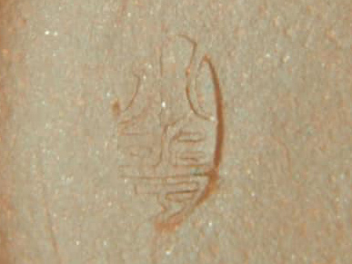 小華
